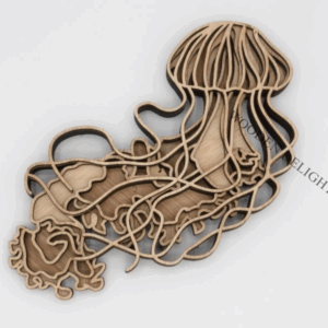 Jellyfish