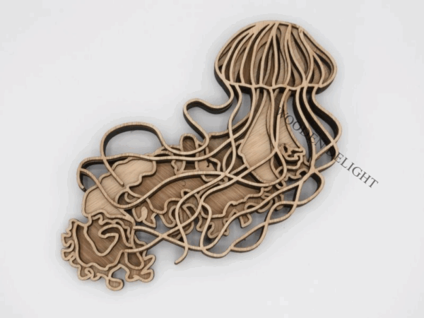 Jellyfish