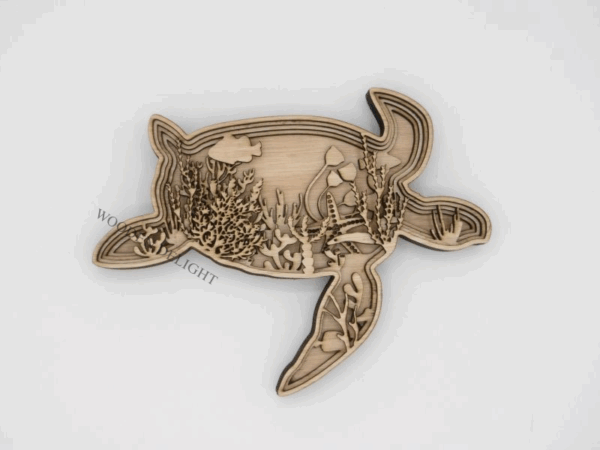 3D Turtle