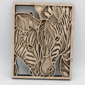 Zebras in Frame