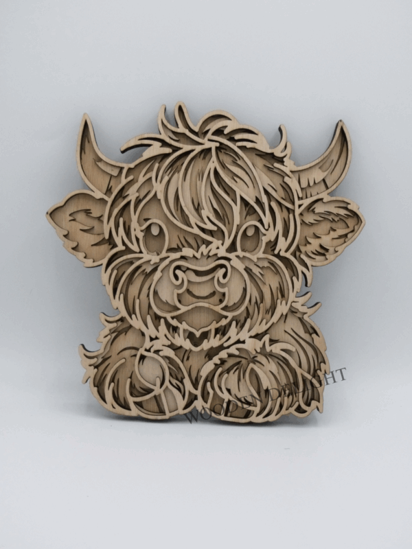 Baby Highland Cow