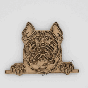 Dog Head (Mastiff)