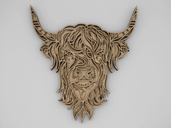 Highland Cow