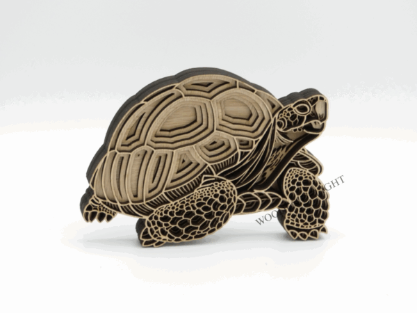 Small Tortoise