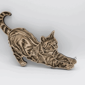 Stretching Cat