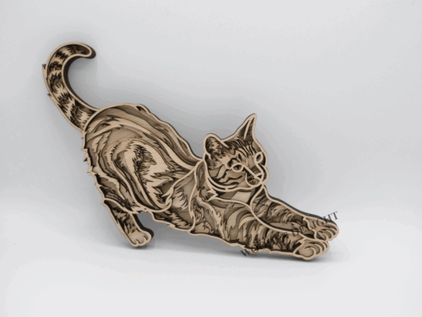 Stretching Cat